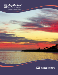 2011 Annual Report