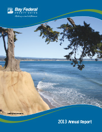 2013 Annual Report