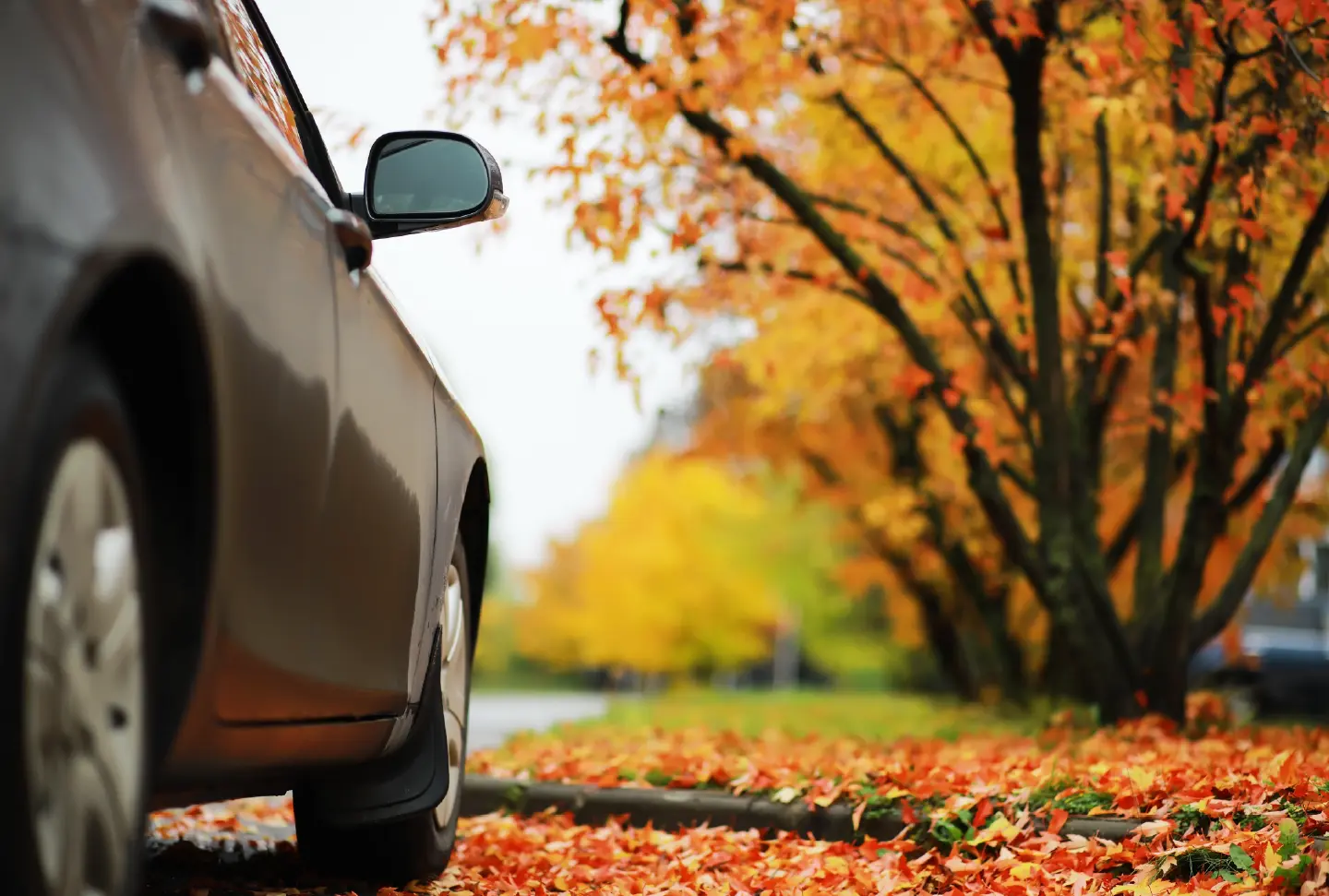 Give your car payment the rest of the year off.