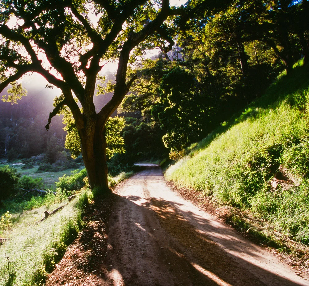 Encuentra la financiación que estás buscando