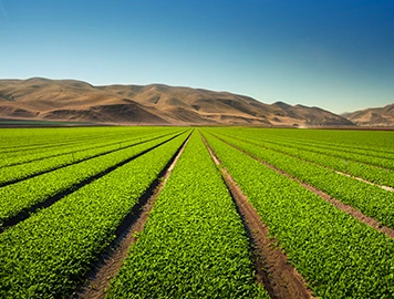 Nuestro comité supervisor