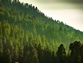 Nuestro equipo de Liderazgo ejecutivo y directivo