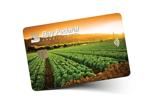 Diseño de la tarjeta Visa con campo de lechugas