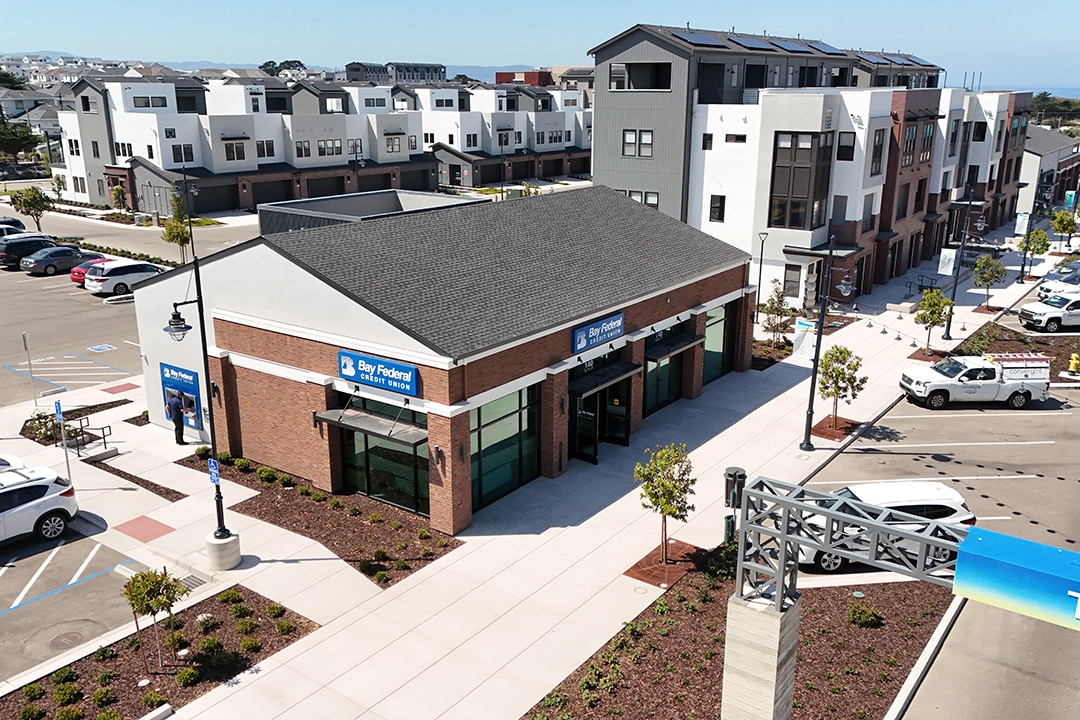 Aerial view of branch