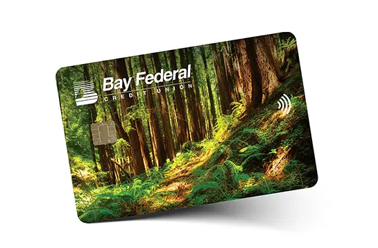 Visa card redwood trees design